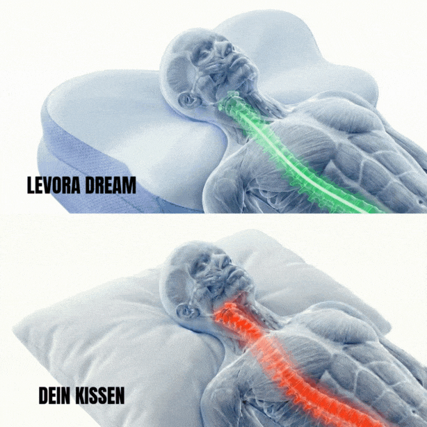 Levora Dream - Ergo Kissen